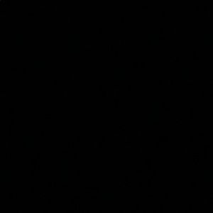 Meet your Posher, Lexi